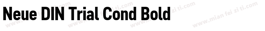 Neue DIN Trial Cond Bold字体转换